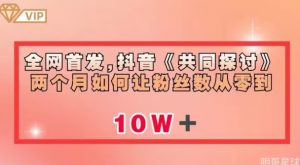 全网首发,抖音《共同探讨》两个月如何让粉丝数从零到10w【揭秘】-网赚项目众筹网