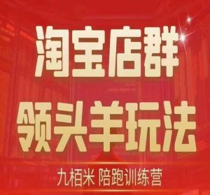 九栢米-淘宝店群领头羊玩法,教你整个淘宝店群领头羊玩法以及精细化/终极蓝海/尾销等内容-网赚项目众筹网