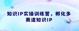知识IP实操训练营，​孵化多赛道知识IP-网赚项目众筹网