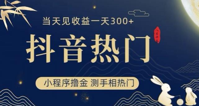 抖音最新小程序撸金，测手相上热门，当天见收益一小时变现300+【揭秘】-网赚项目众筹网