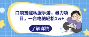 口袋觉醒私服手游,暴力项目,一台电脑轻松1w+【揭秘】-网赚项目众筹网