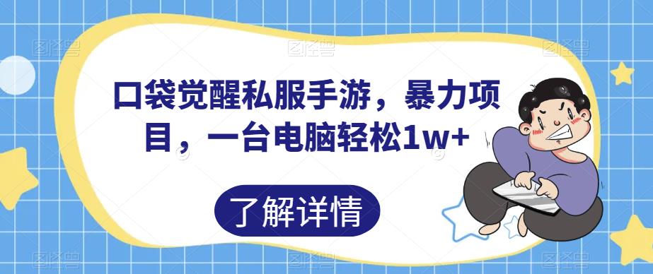 口袋觉醒私服手游，暴力项目，一台电脑轻松1w+【揭秘】-网赚项目众筹网