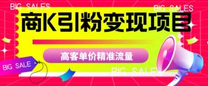商K引粉变现项目,高客单价精准流量【揭秘】-网赚项目众筹网