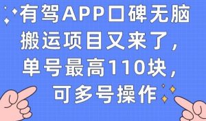有驾APP口碑无脑搬运项目又来了,单号最高110块,可多号操作-网赚项目众筹网
