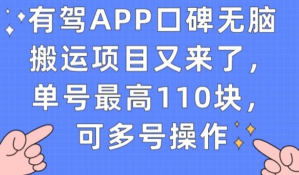 有驾APP口碑无脑搬运项目又来了，单号最高110块，可多号操作-网赚项目众筹网