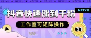 抖音快速涨粉秘籍,教你如何快速涨到千粉,工作室可矩阵操作【揭秘】-网赚项目众筹网