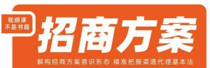 王昕招商方案,解构招商方案意识形态,精准把握渠道代理基本法-网赚项目众筹网