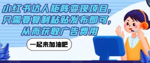 小红书达人矩阵变现项目,只需要复制粘贴发布即可,从而获取广告费用-网赚项目众筹网