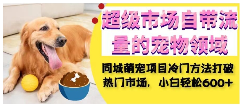 超级市场自带流量的宠物领域，同城萌宠项目冷门方法打破热门市场，小白轻松600+-网赚项目众筹网