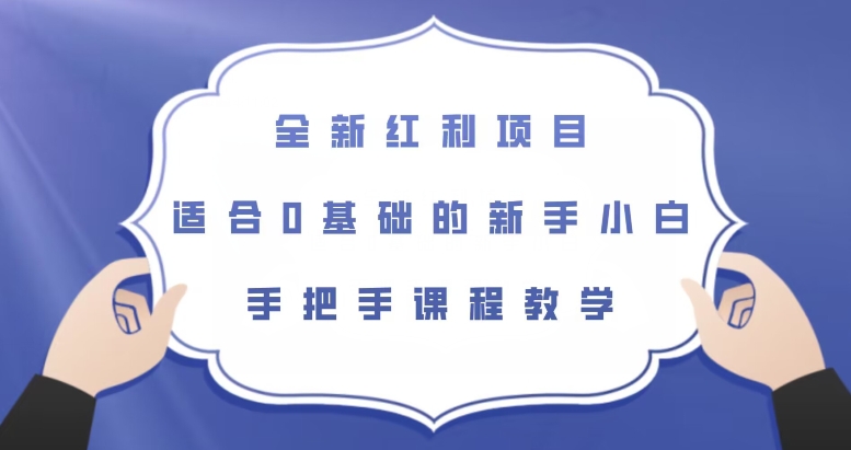 全新红利项目，适合0基础的新手小白，手把手课程教学【揭秘】-网赚项目众筹网