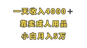 一天收入4000+,靠卖成人用品,小白轻松月入5万【揭秘】-网赚项目众筹网