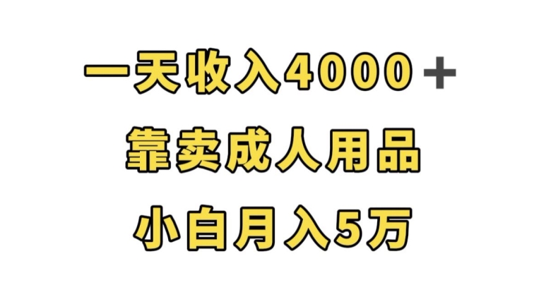 一天收入4000+，靠卖成人用品，小白轻松月入5万【揭秘】-网赚项目众筹网