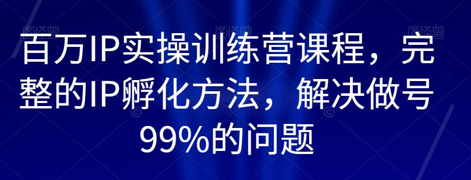 百万IP实操训练营课程，完整的IP孵化方法，解决做号99%的问题-网赚项目众筹网