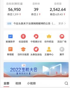 全新蓝海,西瓜视频流量掘金项目,简单上手适合0基础小白,暴力玩法日入500+【揭秘】-网赚项目众筹网