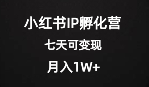 价值2000+的小红书IP孵化营项目，超级大蓝海，七天即可开始变现，稳定月入1W+-网赚项目众筹网