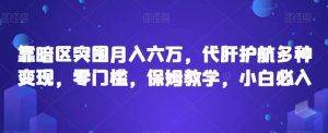 靠暗区突围月入六万,代肝护航多种变现,零门槛,保姆教学,小白必入【揭秘】-网赚项目众筹网
