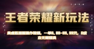 王者荣耀新玩法,卖虚拟国服操作教程,一单6.88-99.99元,0成本无限贩卖【揭秘】-网赚项目众筹网