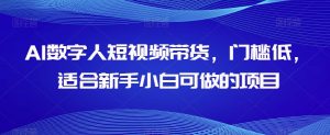 AI数字人短视频带货,门槛低,适合新手小白可做的项目-网赚项目众筹网