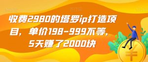 收费2980的塔罗ip打造项目,单价198-999不等,5天赚了2000块【揭秘】-网赚项目众筹网
