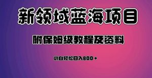 虚拟资源蓝海领域新项目,轻松日入800+,附保姆级教程及资料-网赚项目众筹网