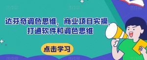 达芬奇调色思维,商业项目实操,打通软件和调色思维-网赚项目众筹网