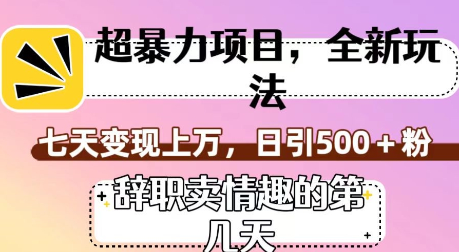 超暴利项目，全新玩法（辞职卖情趣的第几天），七天变现上万，日引500+粉【揭秘】-网赚项目众筹网