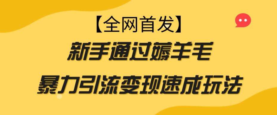 【全网首发】新手通过薅羊毛暴力引流变现速成玩法-网赚项目众筹网
