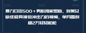 暴力日引500+男粉独家思路,将美女做成极具视觉冲击力的视频,单月盈利超2万轻轻松松-网赚项目众筹网