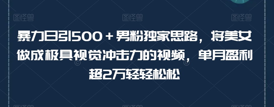 暴力日引500＋男粉独家思路，将美女做成极具视觉冲击力的视频，单月盈利超2万轻轻松松-网赚项目众筹网