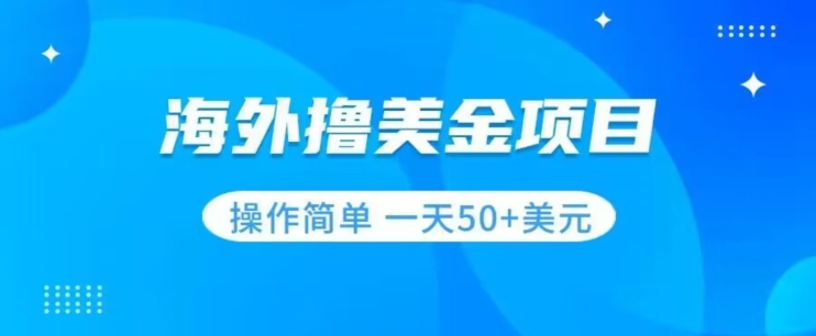 撸美金项目无门槛操作简单小白一天50+美刀-网赚项目众筹网