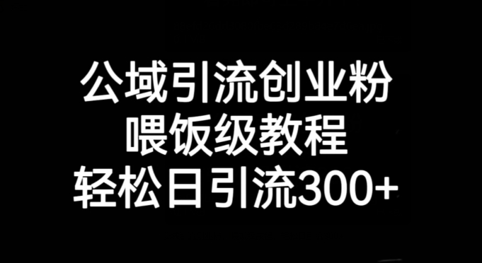 公域引流创业粉，喂饭级教程，轻松日引流300+【揭秘】-网赚项目众筹网