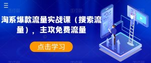 淘系爆款流量实战课(搜索流量),主攻免费流量-网赚项目众筹网