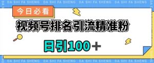 视频号引流精准粉,日引100+,流量爆炸【揭秘】-网赚项目众筹网