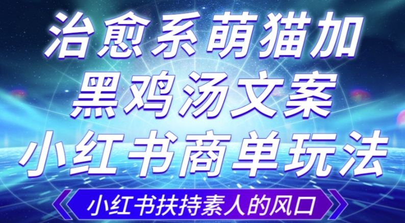 治愈系萌猫加+黑鸡汤文案，小红书商单玩法，3~10天涨到1000粉，一单200左右-网赚项目众筹网