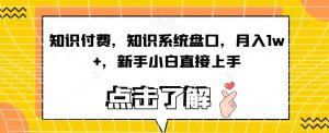 知识付费,知识系统盘口,月入1w+,新手小白直接上手-网赚项目众筹网