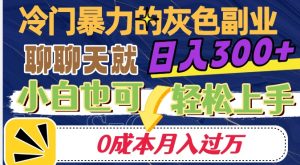 冷门暴利的副业项目，聊聊天就能日入300+，0成本月入过万【揭秘】-网赚项目众筹网