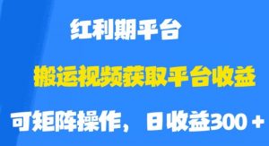 搬运视频获取平台收益,平台红利期,附保姆级教程【揭秘】-网赚项目众筹网