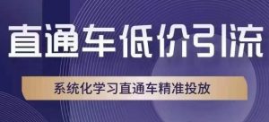 直通车低价引流课,系统化学习直通车精准投放-网赚项目众筹网