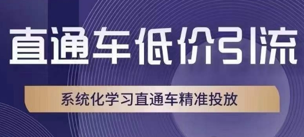 直通车低价引流课，系统化学习直通车精准投放-网赚项目众筹网