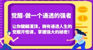 觉醒-做一个通透的强者,让你醍醐灌顶,拥有通透人生的觉醒开悟课,掌握强大的秘密!-网赚项目众筹网