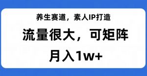 养生赛道,素人IP打造,流量很大,可矩阵,月入1w+【揭秘】-网赚项目众筹网