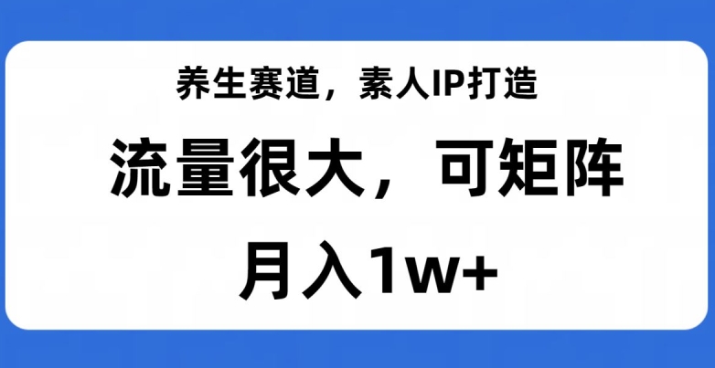 养生赛道，素人IP打造，流量很大，可矩阵，月入1w+【揭秘】-网赚项目众筹网