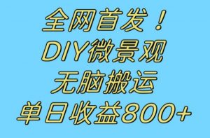 全网首发冷门赛道！DIY微景观，无脑搬运视频，日收益800+【揭秘】-网赚项目众筹网