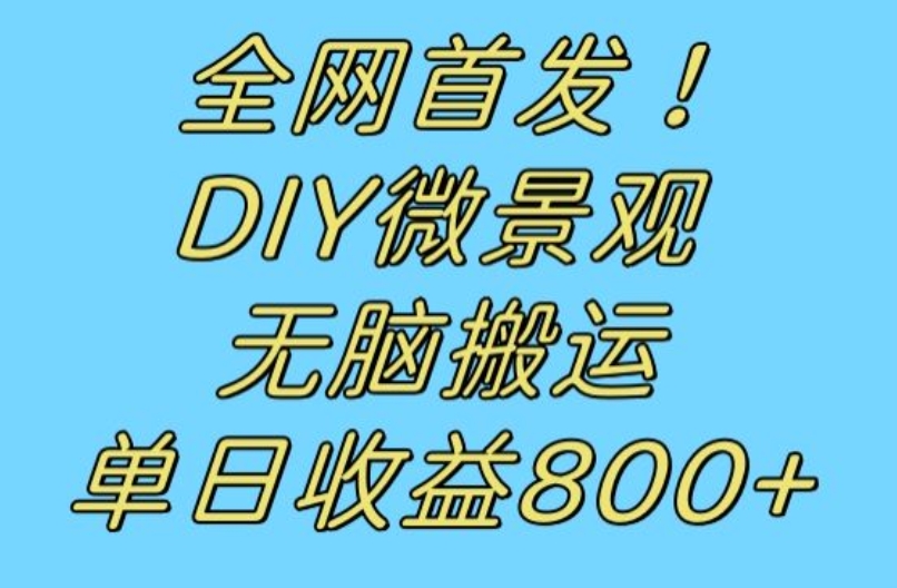 全网首发冷门赛道！DIY微景观，无脑搬运视频，日收益800+【揭秘】-网赚项目众筹网