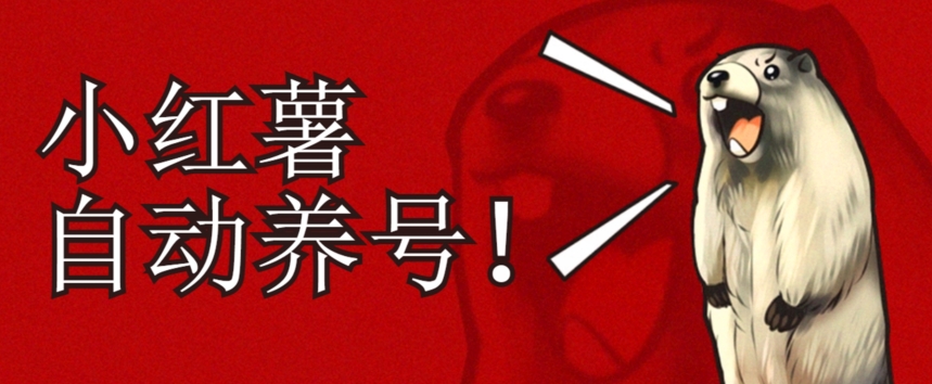 小红书养号秘籍，如何自动涨粉清晰系统标签打造高权重账号【揭秘】-网赚项目众筹网