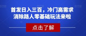 首发日入三百,冷门高需求消除路人零基础玩法来啦【揭秘】-网赚项目众筹网