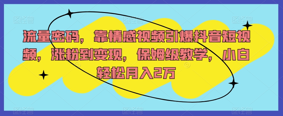 流量密码，靠情感视频引爆抖音短视频，涨粉到变现，保姆级教学，小白轻松月入2万【揭秘】-网赚项目众筹网