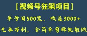 日收款500笔，纯利润3000+，视频号狂飙项目，会简单剪辑就能做【揭秘】-网赚项目众筹网
