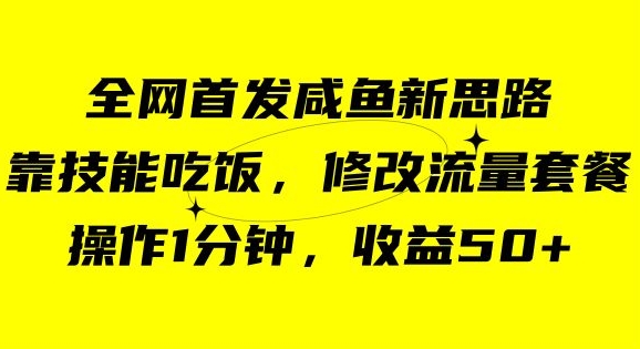 咸鱼冷门新玩法，靠“技能吃饭”，修改流量套餐，操作1分钟，收益50【揭秘】-网赚项目众筹网