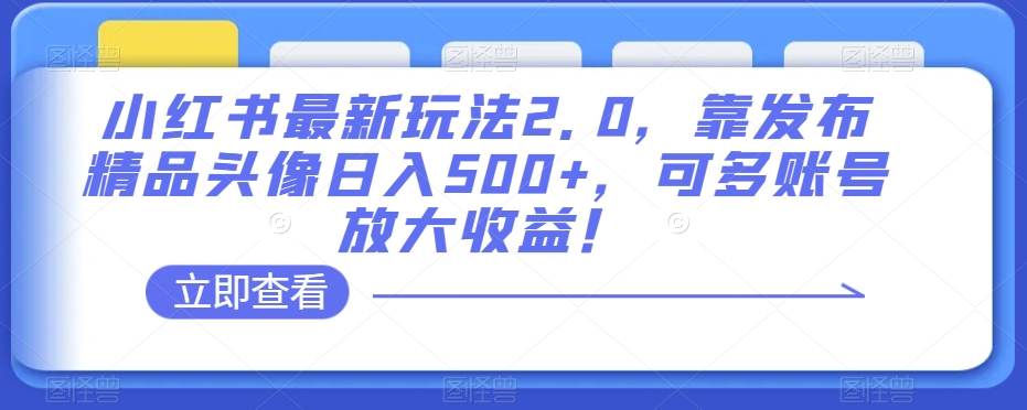 小红书最新玩法2.0，靠发布精品头像日入500+，可多账号放大收益！【揭秘】-网赚项目众筹网